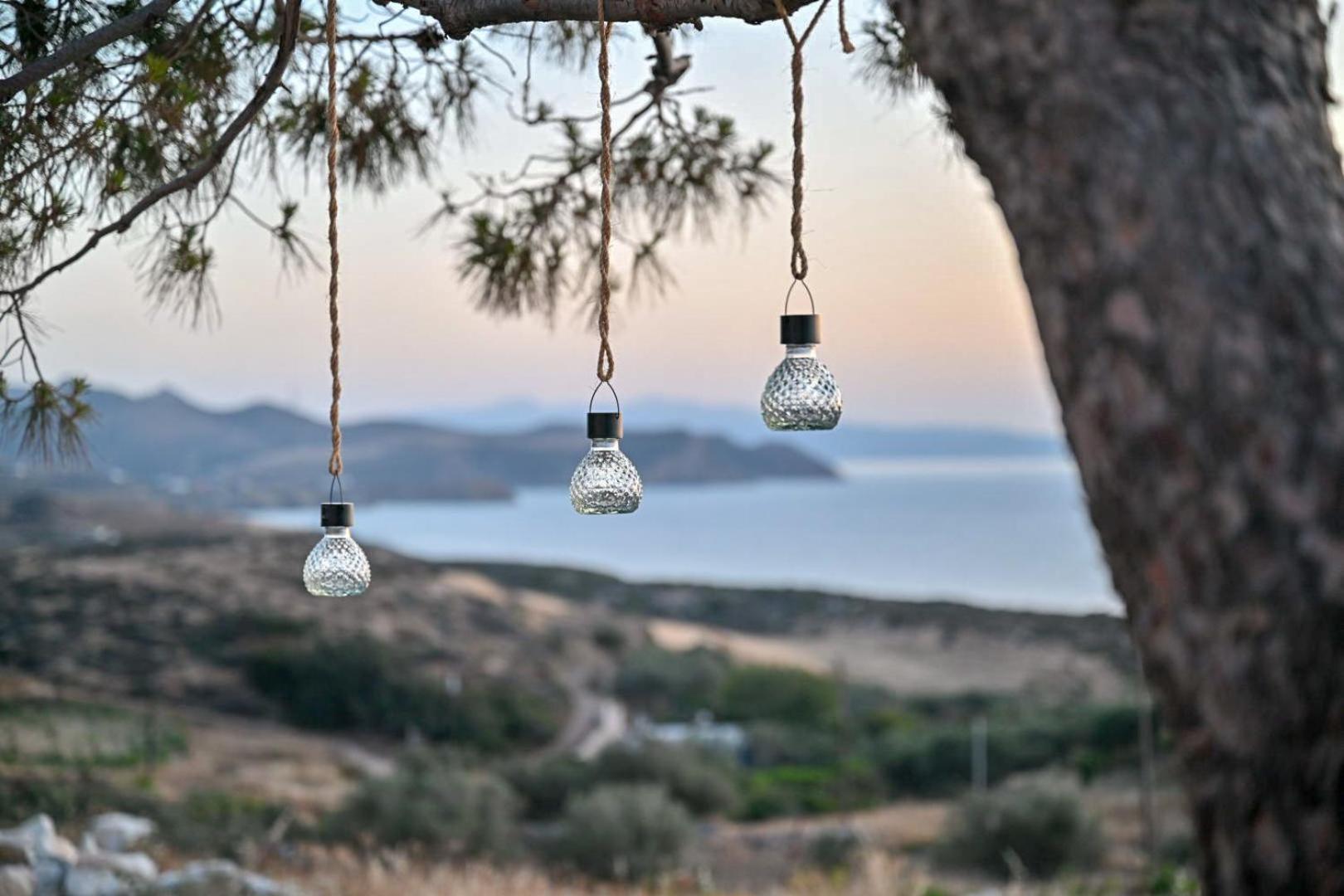 'Sophie'S Villa' Akrotiri  Exterior photo