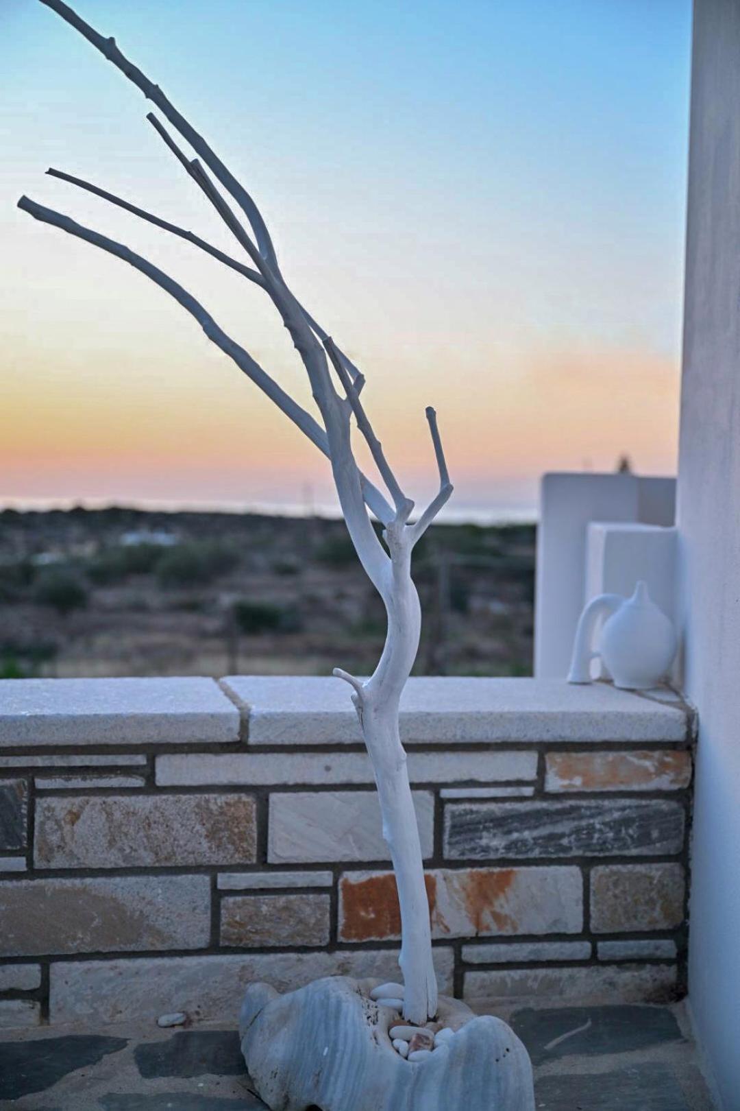 'Sophie'S Villa' Akrotiri  Exterior photo