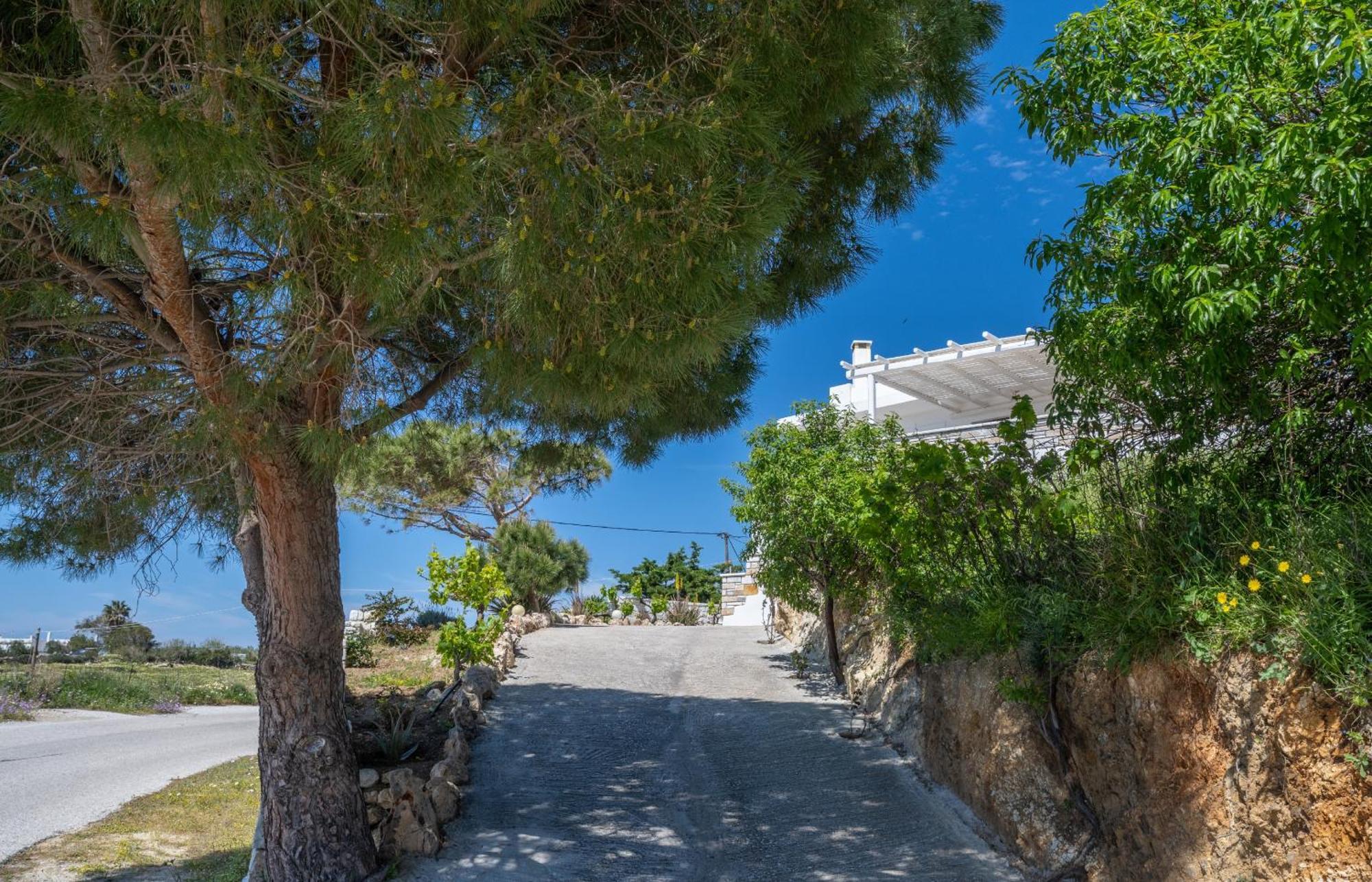 'Sophie'S Villa' Akrotiri  Exterior photo